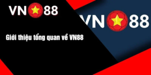 Đánh Giá Tính Chính Xác Của Soi Cầu VN88