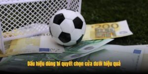 Bật Mí Bí Quyết Chọn Cửa Dưới Hiệu ...