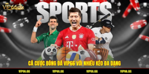 Core Betting Products at the VIP66 Sports Hall