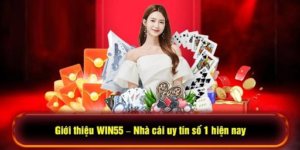 Win55 Builds a Diverse Entertainment Ecosystem to Meet Different User Preferences