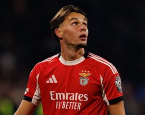 Newcastle Open Talks For Benfica's Dedić