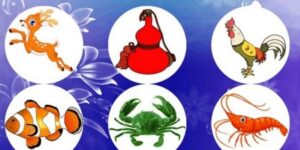 Kiến thức luật chơi nền tảng giúp áp dụng mẹo lắc bầu cua chính xác hơn